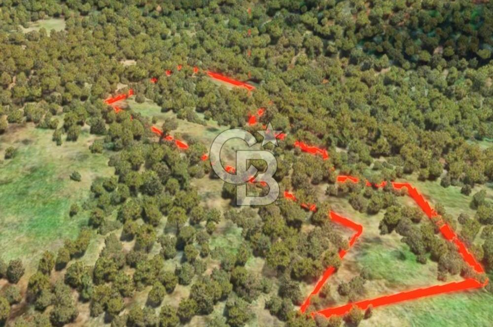 ÇANAKKALE YENİCE SEYVAN KÖYÜ YAN YANA SATILIK 2 ADET TARLA