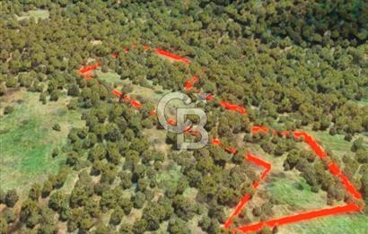 ÇANAKKALE YENİCE SEYVAN KÖYÜ YAN YANA SATILIK 2 ADET TARLA