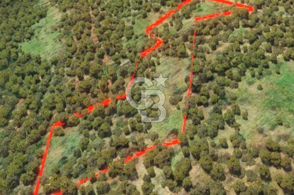 ÇANAKKALE YENİCE SEYVAN KÖYÜ YAN YANA SATILIK 2 ADET TARLA