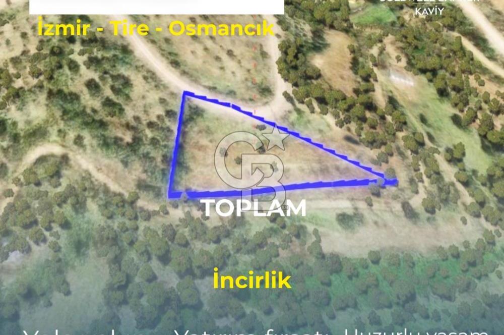 İZMİR TİRE'DE İNCİRLİK NİTELİKLİ SATILIK TARLA