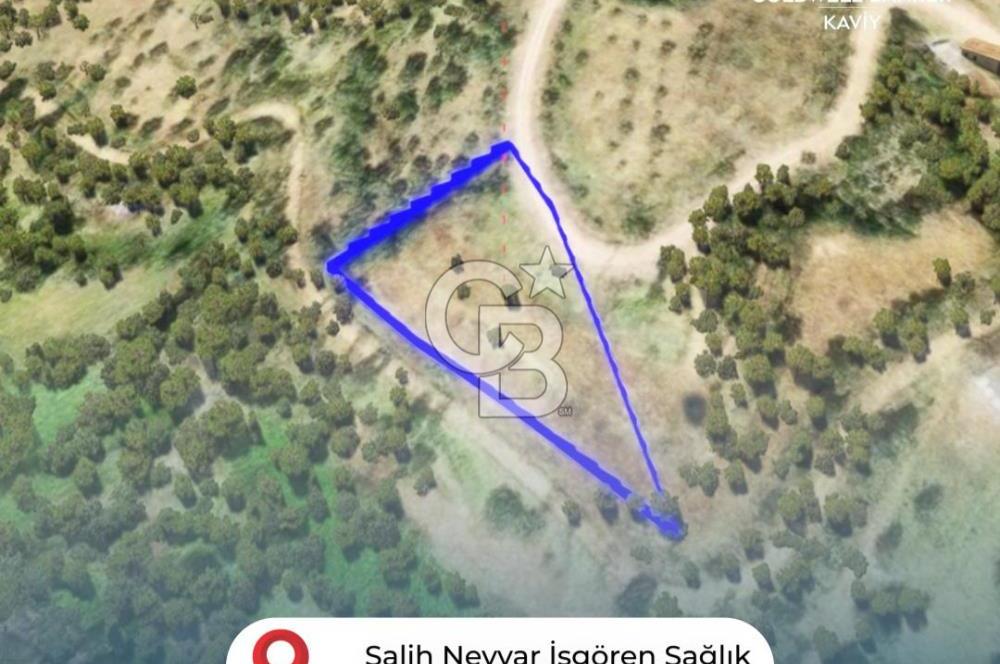İZMİR TİRE'DE İNCİRLİK NİTELİKLİ SATILIK TARLA