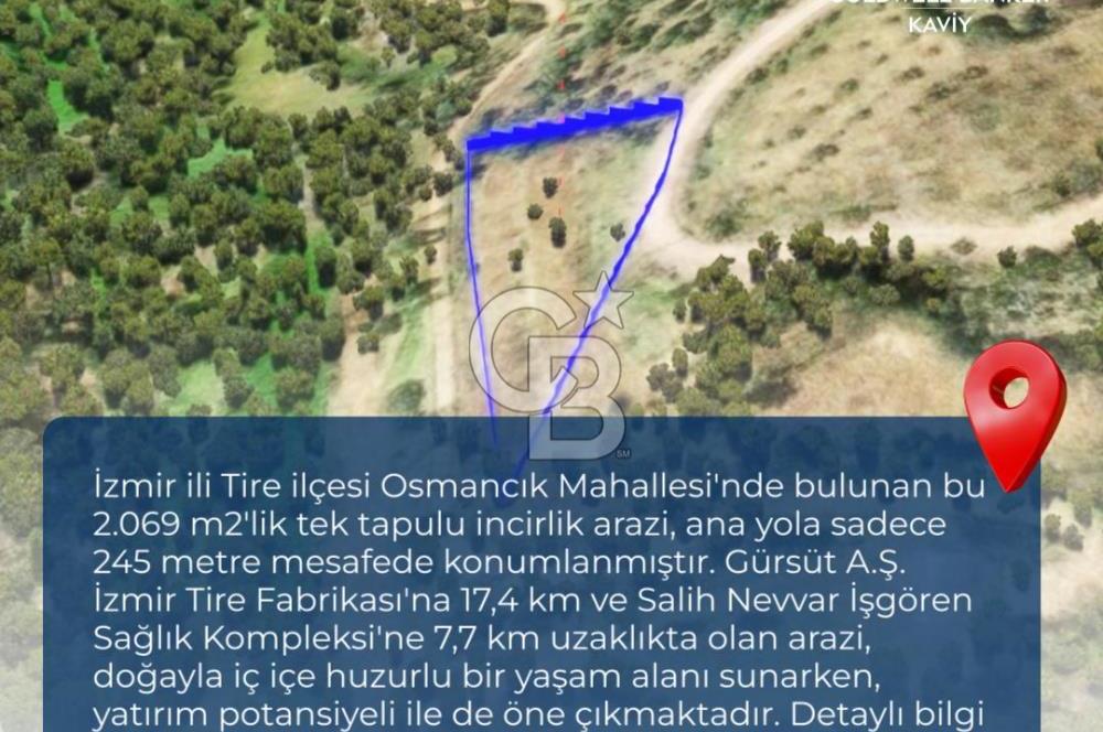 İZMİR TİRE'DE İNCİRLİK NİTELİKLİ SATILIK TARLA
