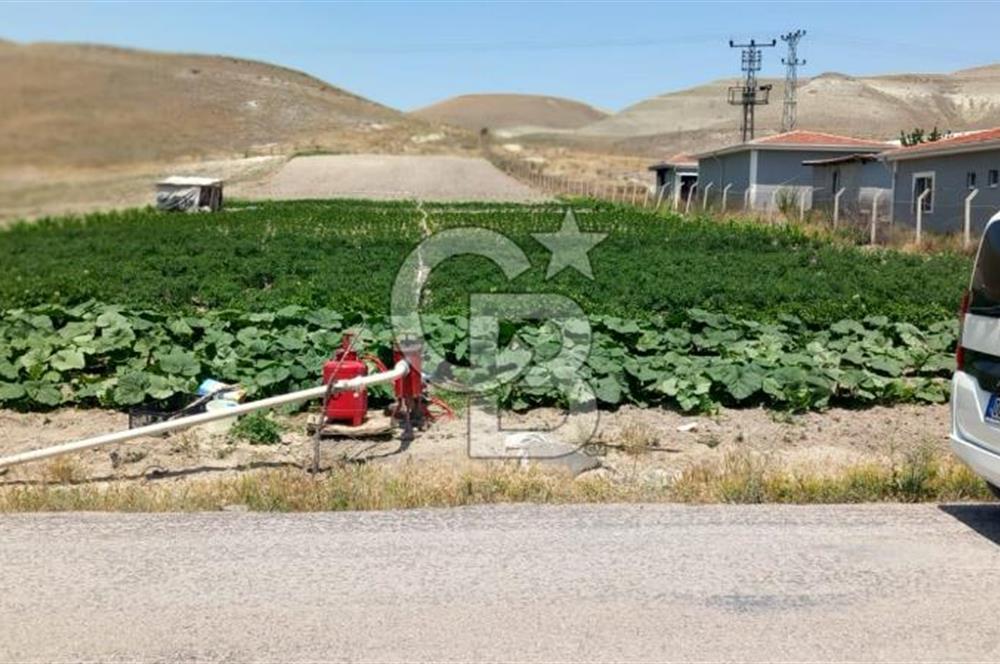 BEYPAZARI AKÇAKAVAK KÜMEEVLER YOLU ÜZERİ SATILIK TARLA 5.650 M2