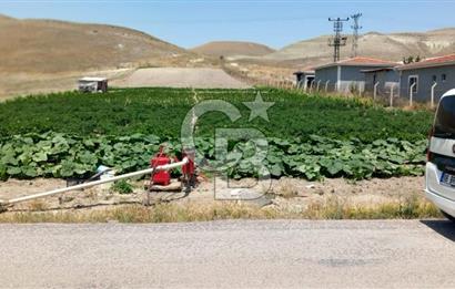 BEYPAZARI AKÇAKAVAK KÜMEEVLER YOLU ÜZERİ SATILIK TARLA 5.650 M2
