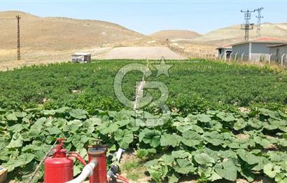 BEYPAZARI AKÇAKAVAK KÜMEEVLER YOLU ÜZERİ SATILIK TARLA 5.650 M2