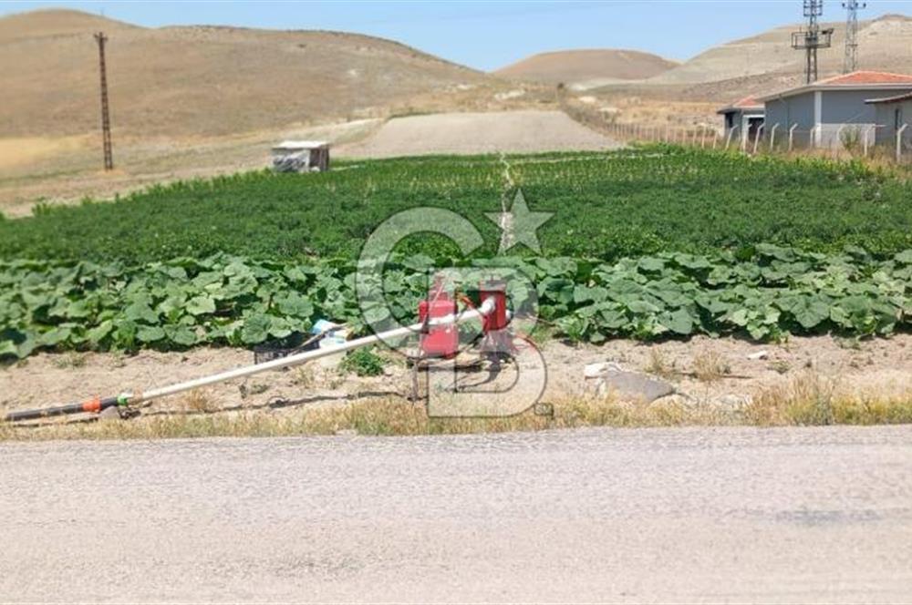 BEYPAZARI AKÇAKAVAK KÜMEEVLER YOLU ÜZERİ SATILIK TARLA 5.650 M2