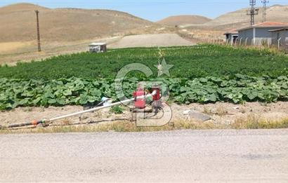 BEYPAZARI AKÇAKAVAK KÜMEEVLER YOLU ÜZERİ SATILIK TARLA 5.650 M2