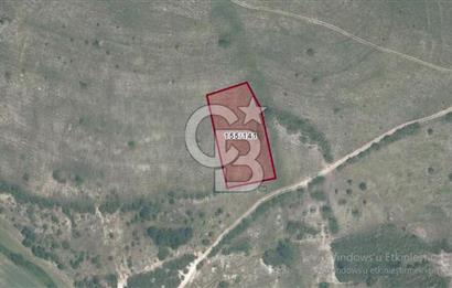 Kocaeli Kandıra Çakmaklar Mahallesinde Yatırımlık Tarla