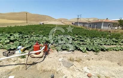 BEYPAZARI AKÇAKAVAK KÜMEEVLER YOLU ÜZERİ SATILIK TARLA 5.650 M2