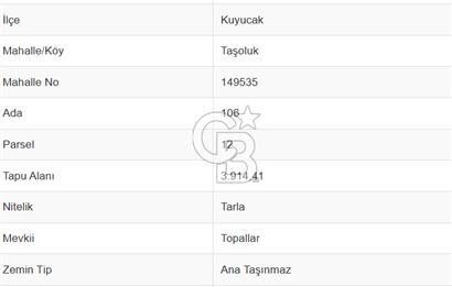 Aydın Kuyucak Taşoluk Mah. 8.500 M² Satılık Tarla