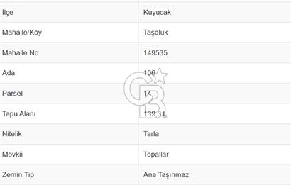 Aydın Kuyucak Taşoluk Mah. 8.500 M² Satılık Tarla
