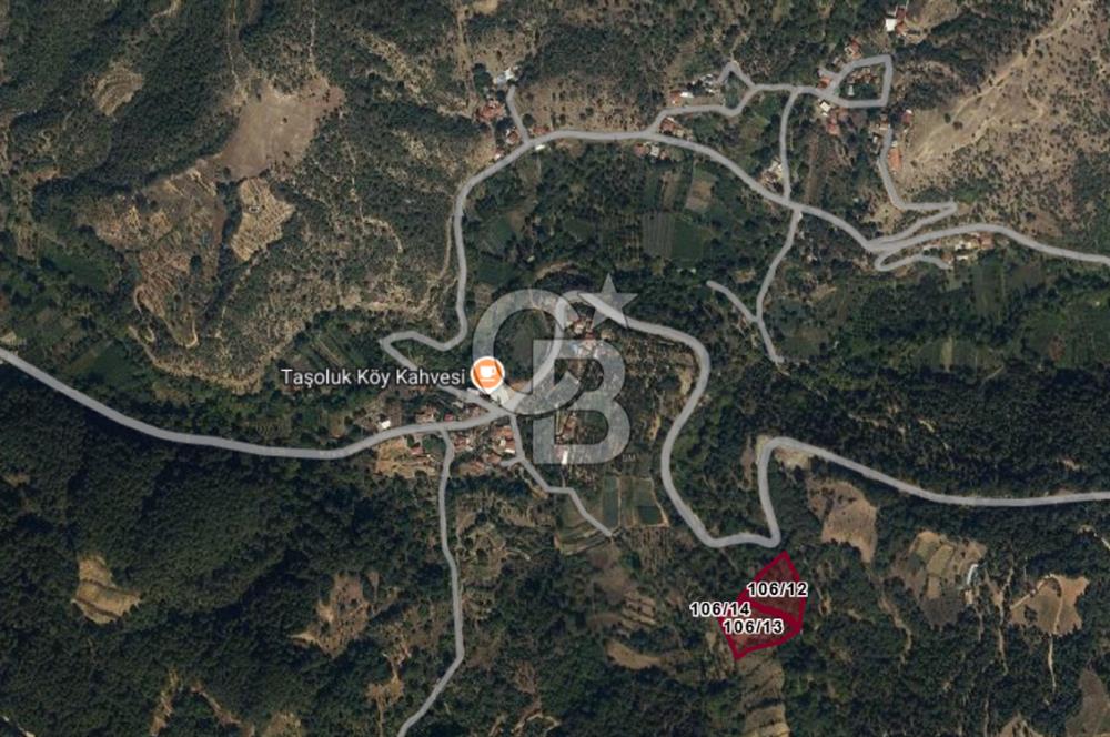 Aydın Kuyucak Taşoluk Mah. 8.500 M² Satılık Tarla