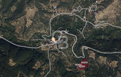 Aydın Kuyucak Taşoluk Mah. 8.500 M² Satılık Tarla