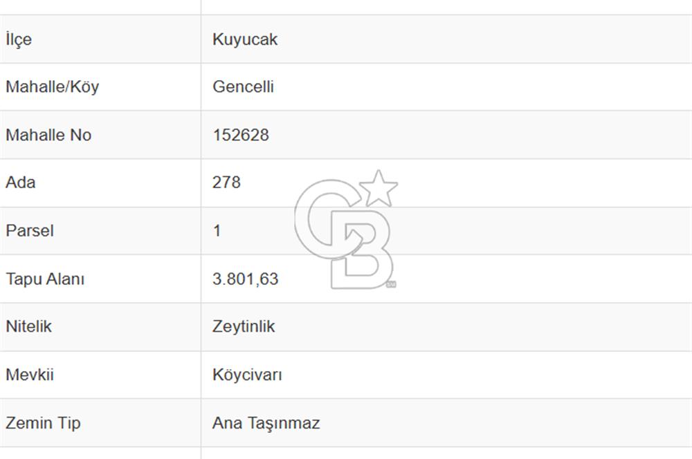 Aydın Kuyucak Gencelli Mah. 3.801 M² Satılık Tarla