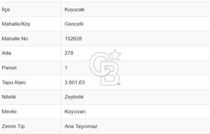 Aydın Kuyucak Gencelli Mah. 3.801 M² Satılık Tarla