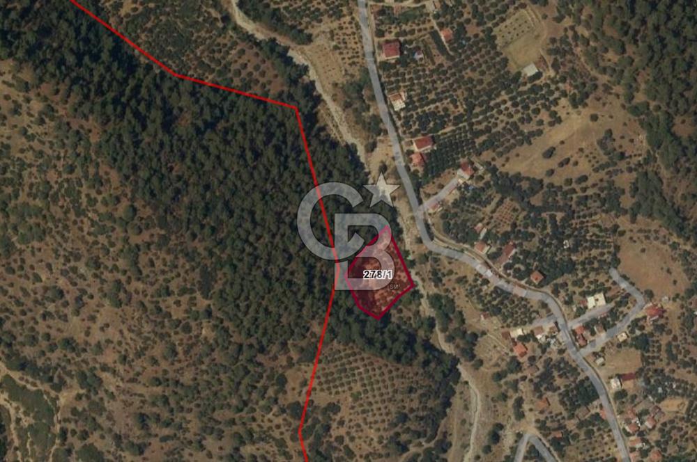 Aydın Kuyucak Gencelli Mah. 3.801 M² Satılık Tarla
