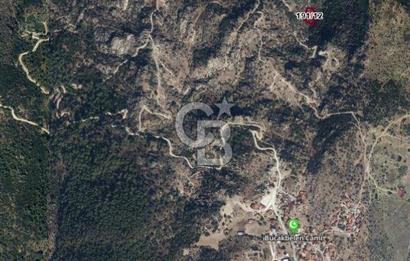 Muğla Yatağanda Yatırımlık Zeytinlik