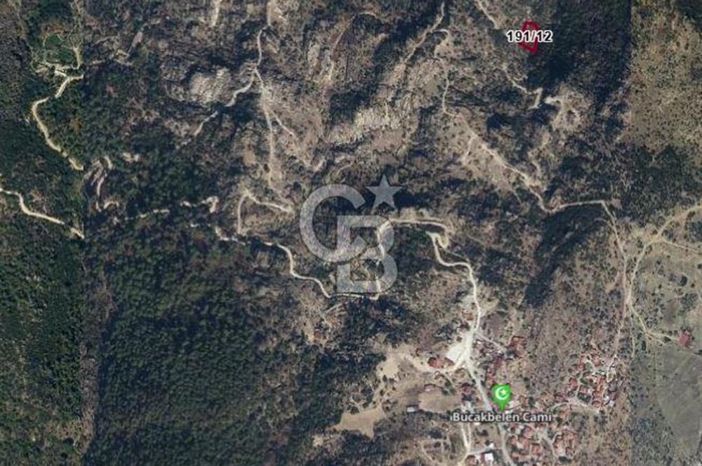 Muğla Yatağanda Yatırımlık Zeytinlik
