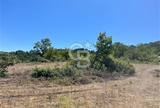 Aydın Kuyucak Taşoluk Mah. 8.500 M² Satılık Tarla