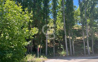 Aydın Kuyucak Taşoluk Mah. 8.500 M² Satılık Tarla