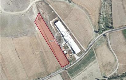 BEYPAZARI AKÇAKAVAK KÜMEEVLER YOLU ÜZERİ SATILIK TARLA 5.650 M2