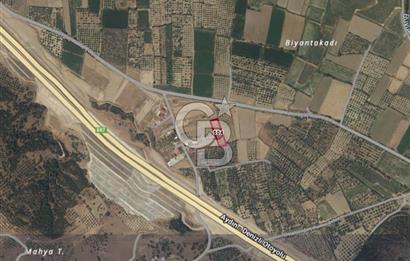 Sarayköy Kabaağaç Mah. 2.600 M² Satılık Tarla