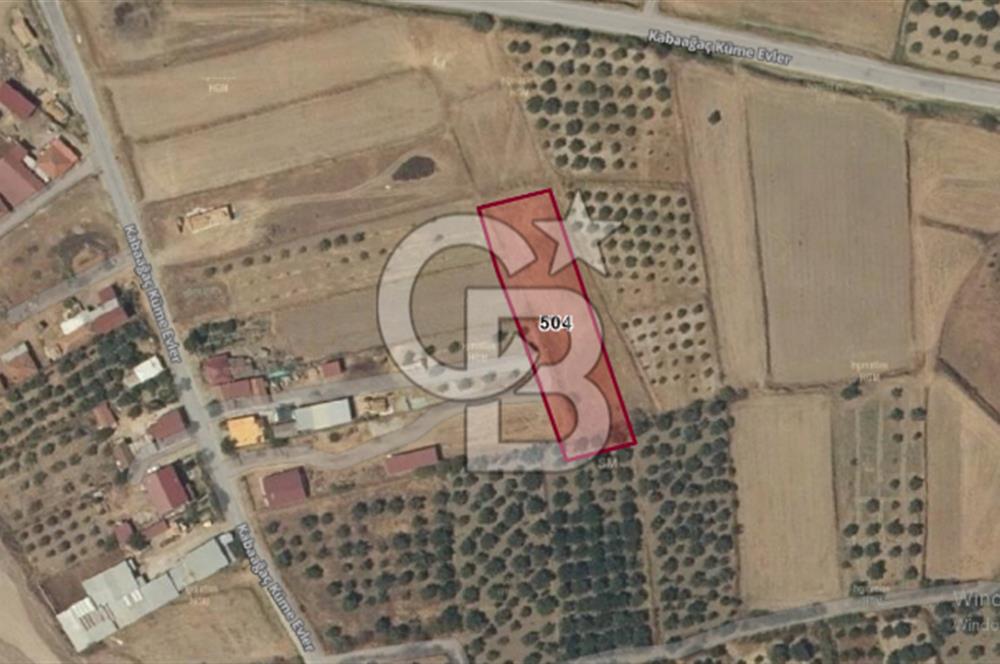 Sarayköy Kabaağaç Mah. 2.600 M² Satılık Tarla