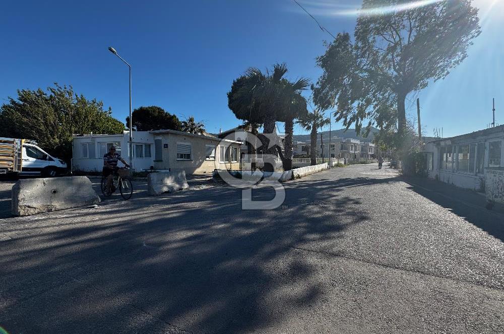 Denize sıfır işletme 