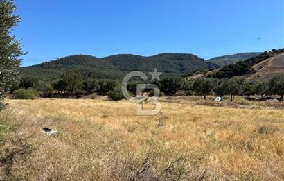 Sarayköy Kabaağaç Mah. 2.600 M² Satılık Tarla