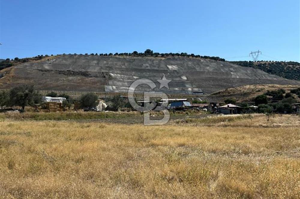 Sarayköy Kabaağaç Mah. 2.600 M² Satılık Tarla