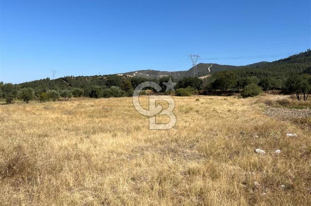Sarayköy Kabaağaç Mah. 2.600 M² Satılık Tarla