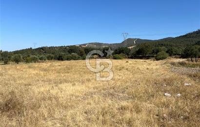 Sarayköy Kabaağaç Mah. 2.600 M² Satılık Tarla
