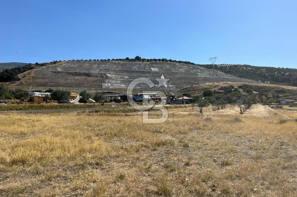 Sarayköy Kabaağaç Mah. 2.600 M² Satılık Tarla