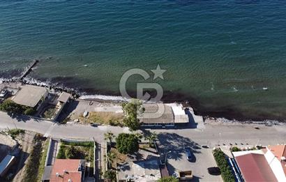 Denize sıfır işletme 