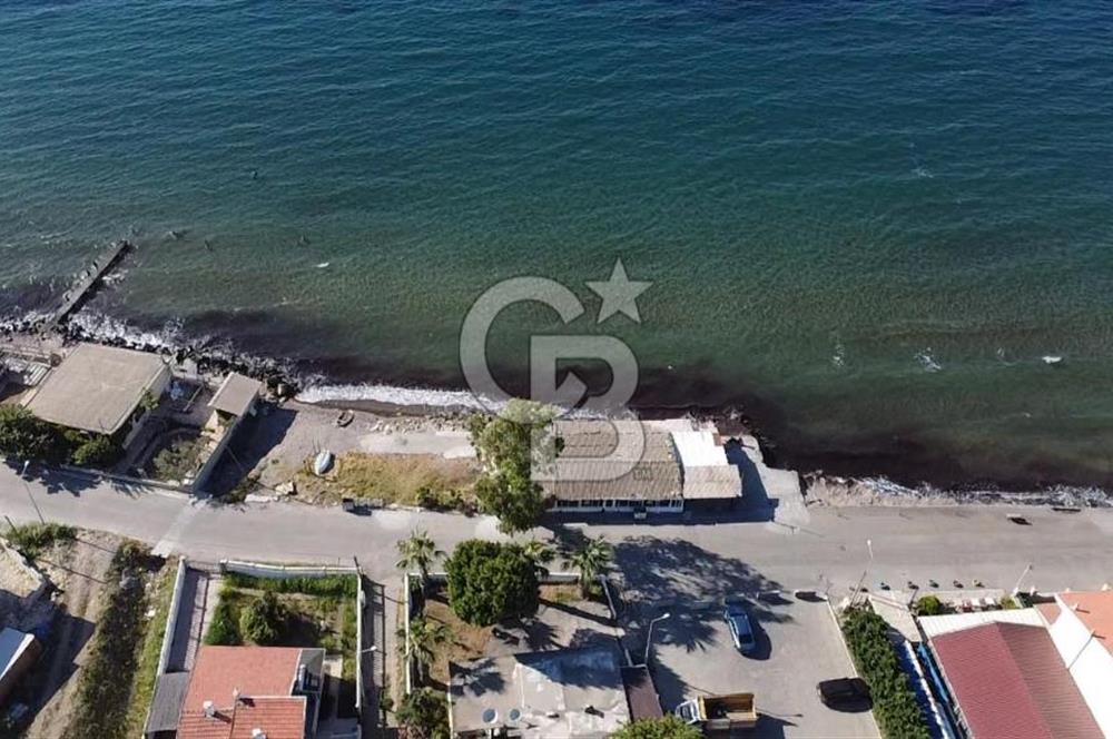 Denize sıfır işletme 