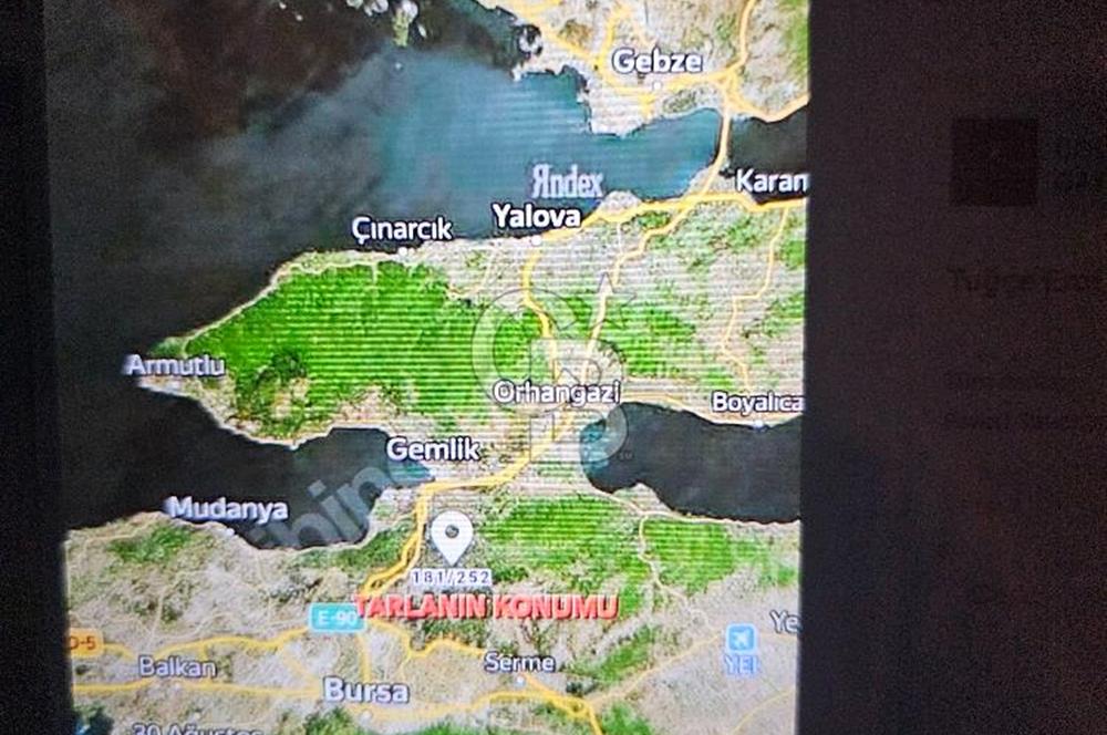 CB AMBIANCE'DAN KAZANÇ GETİRİLİ 10 DÖNÜM SEÇKÖYDE SATILIK TARLA