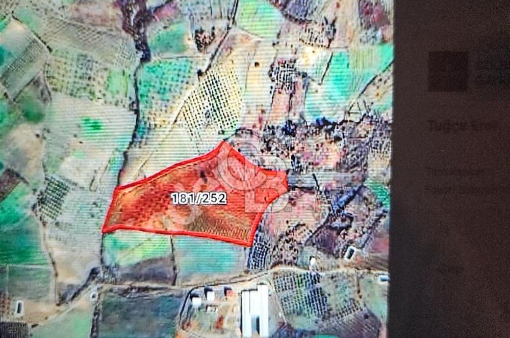 CB AMBIANCE'DAN KAZANÇ GETİRİLİ 6 DÖNÜM SEÇKÖYDE SATILIK TARLA