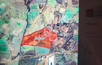 CB AMBIANCE'DAN KAZANÇ GETİRİLİ 6 DÖNÜM SEÇKÖYDE SATILIK TARLA