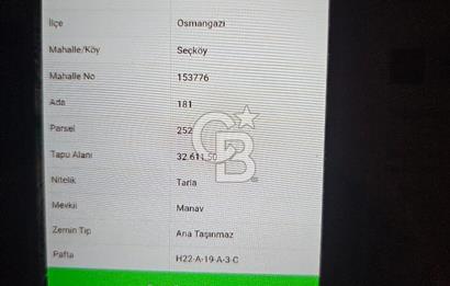 CB AMBIANCE'DAN KAZANÇ GETİRİLİ 10 DÖNÜM SEÇKÖYDE SATILIK TARLA