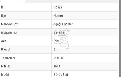 Konya Hadim'de Yatırıma Uygun Satılık Tarla