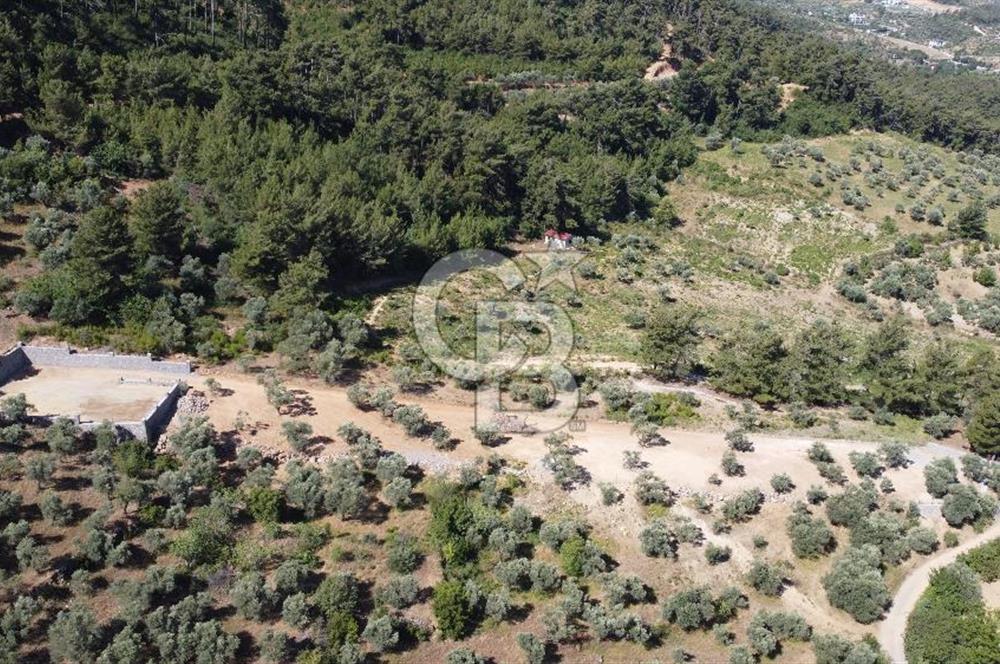 YUKARIKIZILCA DA YOLA CEPHE TAŞ DUVARLARI VE KUYU OLAN SATILIK ARAZİ