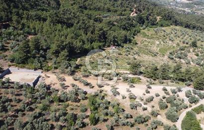 YUKARIKIZILCA DA YOLA CEPHE TAŞ DUVARLARI VE KUYU OLAN SATILIK ARAZİ