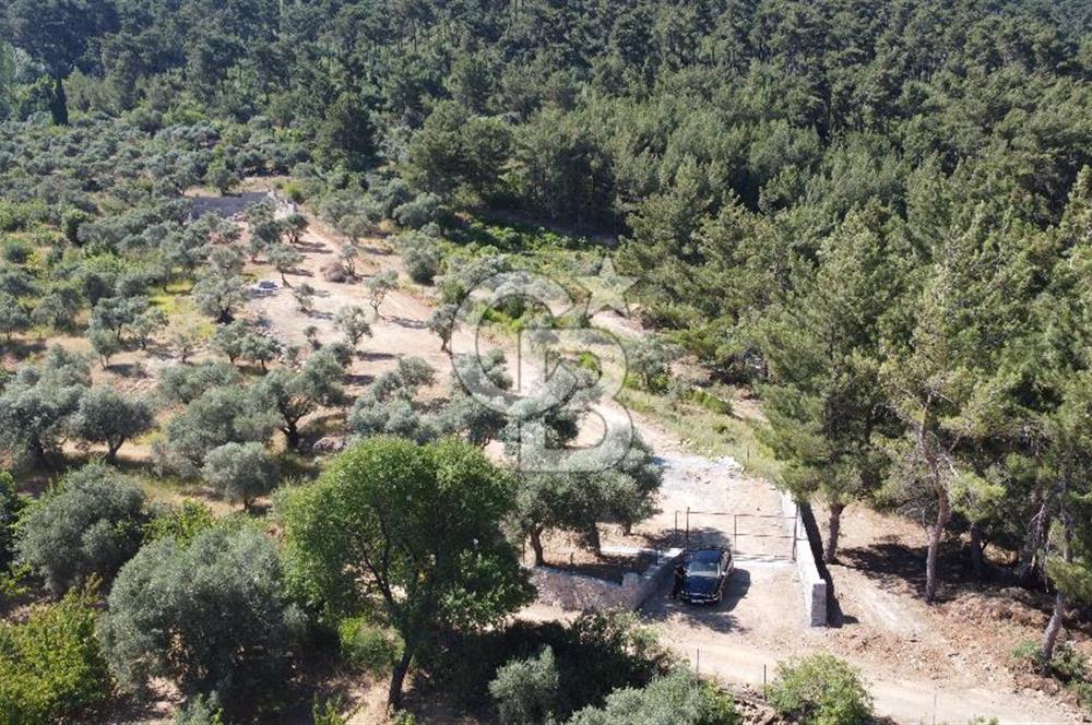 YUKARIKIZILCA DA YOLA CEPHE TAŞ DUVARLARI VE KUYU OLAN SATILIK ARAZİ