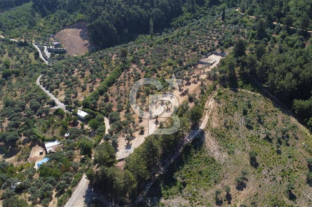 YUKARIKIZILCA DA YOLA CEPHE TAŞ DUVARLARI VE KUYU OLAN SATILIK ARAZİ