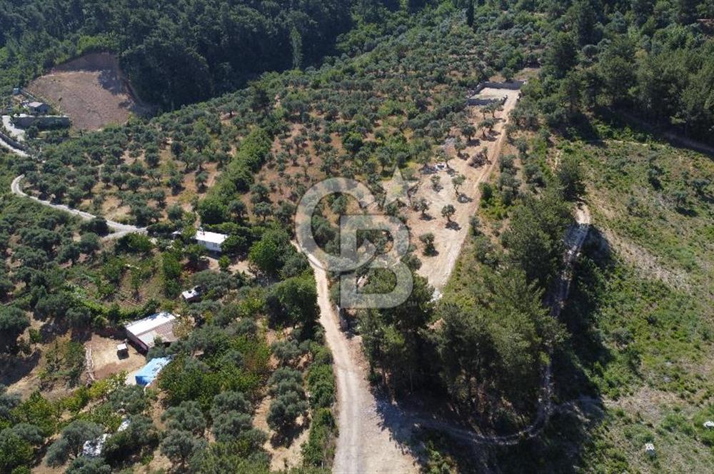 YUKARIKIZILCA DA YOLA CEPHE TAŞ DUVARLARI VE KUYU OLAN SATILIK ARAZİ