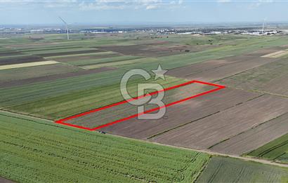 Ergene’de 10200m2 Satılık Tarla