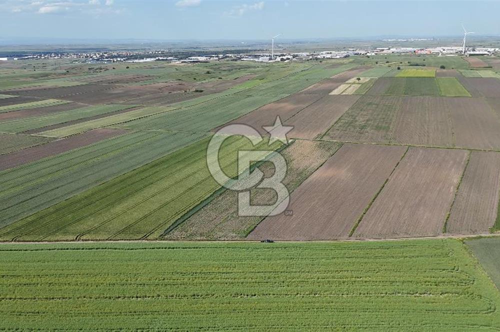 Ergene’de 10200m2 Satılık Tarla