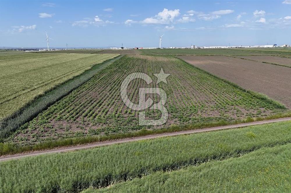 Ergene’de 10200m2 Satılık Tarla