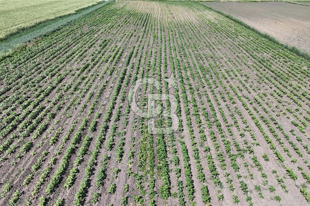 Ergene’de 10200m2 Satılık Tarla