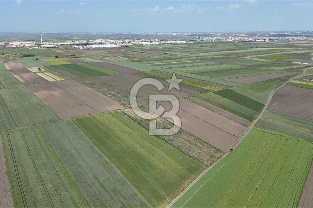 Ergene’de 10200m2 Satılık Tarla
